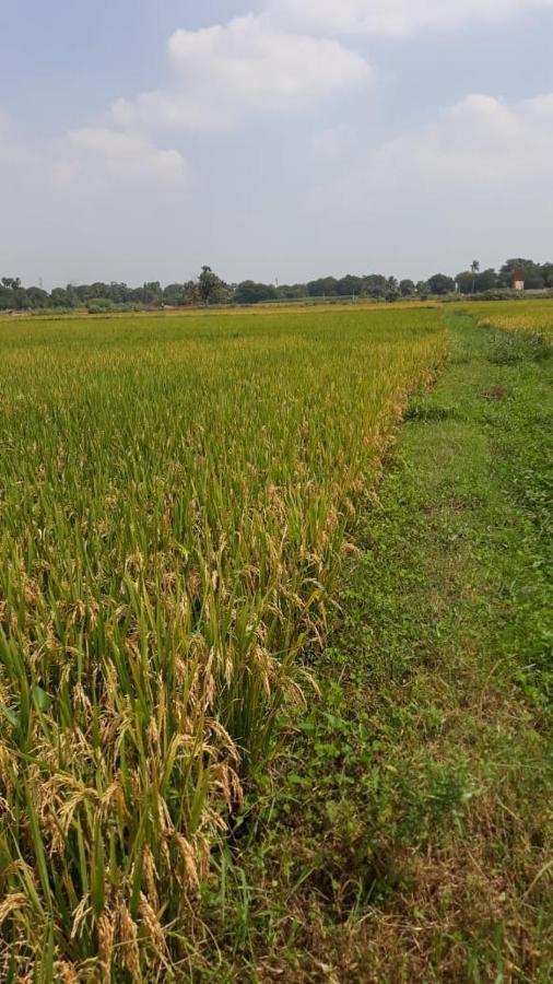 Shruthi'S Aarohi-Nature'S Retreat Mulappilangād Zewnętrze zdjęcie