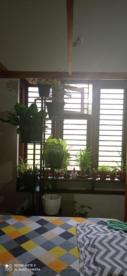 Shruthi'S Aarohi-Nature'S Retreat Mulappilangād Zewnętrze zdjęcie